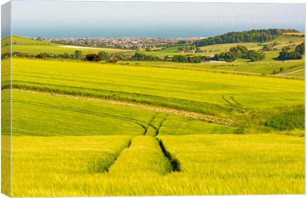 South Downs Lines Canvas Print by Malcolm McHugh
