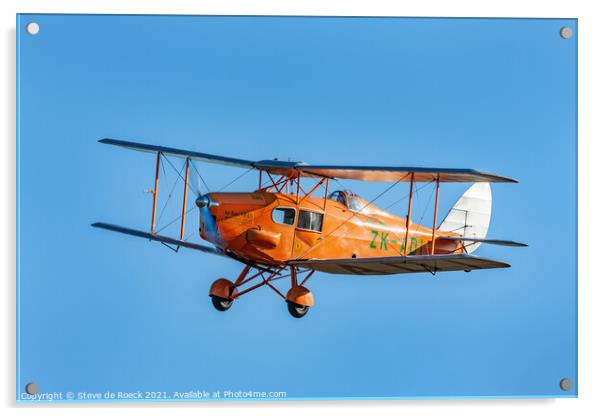 de Havilland DH83 Fox Moth Acrylic by Steve de Roeck