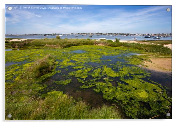 Mudeford Spit #5 Acrylic by Derek Daniel