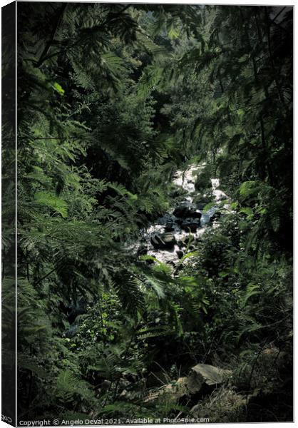 Summer Daydreaming in Lousa Forest Canvas Print by Angelo DeVal