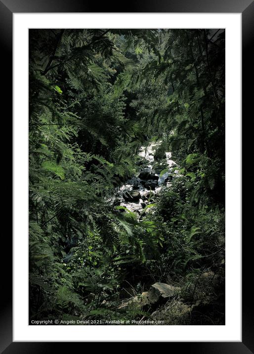 Summer Daydreaming in Lousa Forest Framed Mounted Print by Angelo DeVal