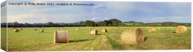 Bails of Hay in a field on a summers day, UK - Panorama Canvas Print by Philip Brown
