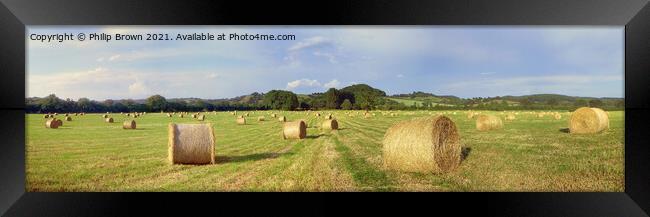 Bails of Hay in a field on a summers day, UK - Panorama Framed Print by Philip Brown