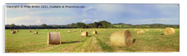 Bails of Hay in a field on a summers day, UK - Panorama Acrylic by Philip Brown
