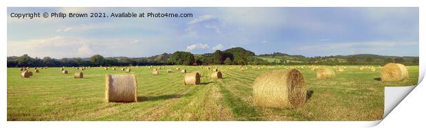 Bails of Hay in a field on a summers day, UK - Panorama Print by Philip Brown