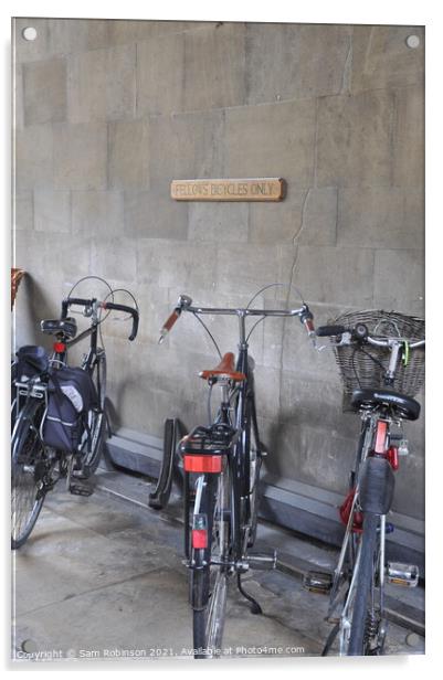 Cambridge University Bicycles Acrylic by Sam Robinson