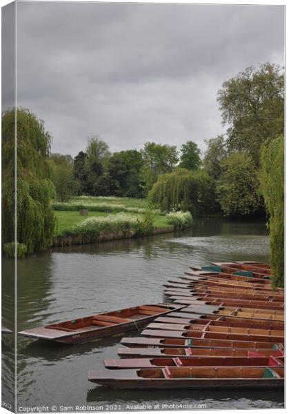 Punts moored up on the River Cam Canvas Print by Sam Robinson