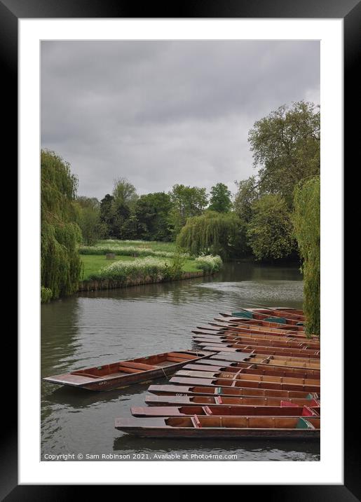 Punts moored up on the River Cam Framed Mounted Print by Sam Robinson