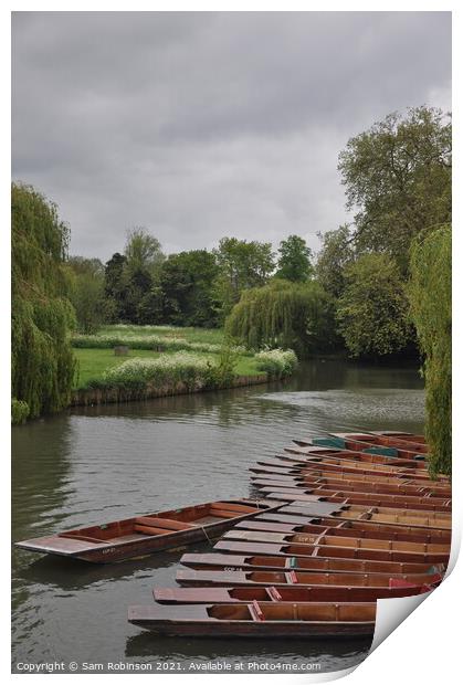 Punts moored up on the River Cam Print by Sam Robinson