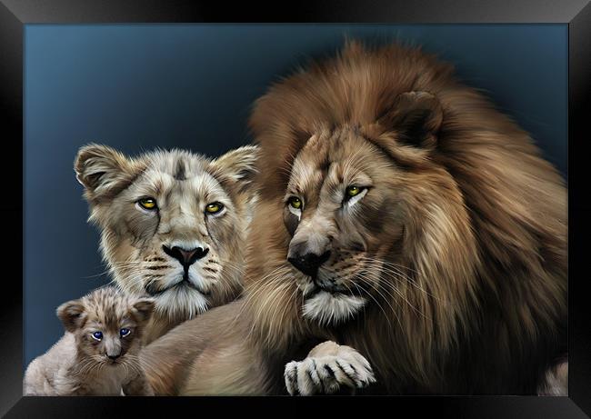 Lion Family Framed Print by Julie Hoddinott