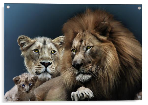 Lion Family Acrylic by Julie Hoddinott