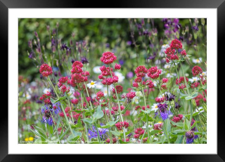 Summer Flowers in Shropshire cottage garden Framed Mounted Print by Simon Marlow