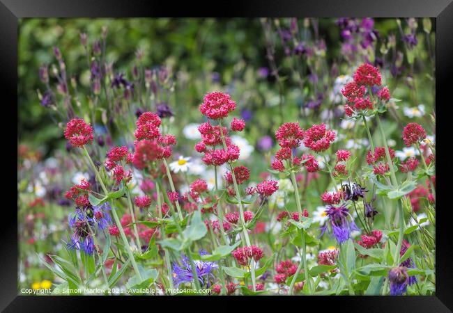 Summer Flowers in Shropshire cottage garden Framed Print by Simon Marlow