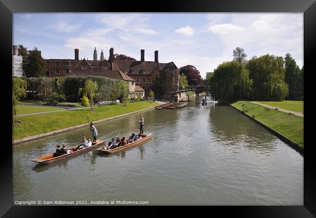 Punting on the River Cam Framed Print by Sam Robinson