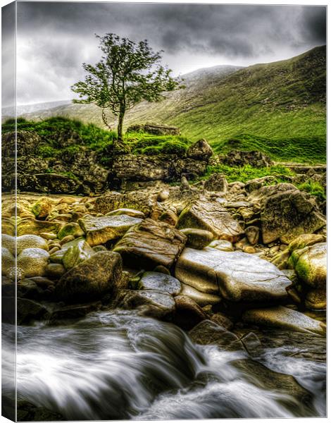 Lone Tree On River Etive Canvas Print by Aj’s Images