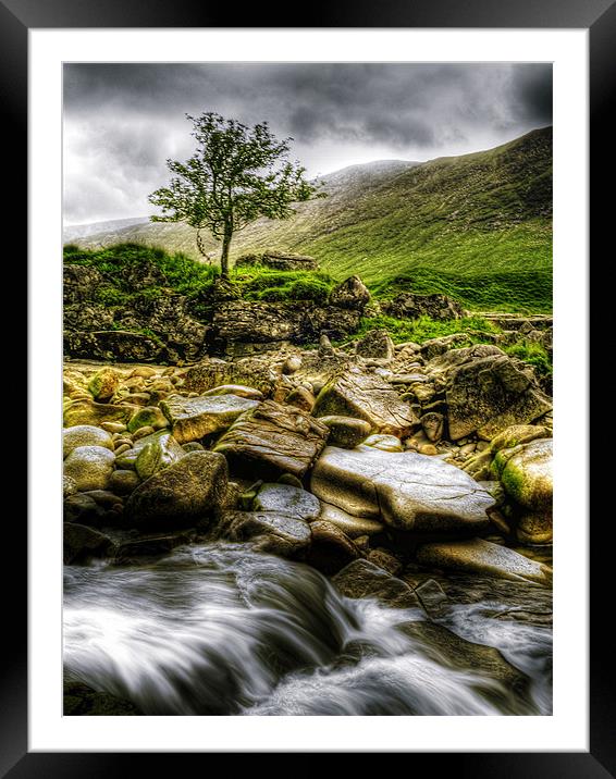 Lone Tree On River Etive Framed Mounted Print by Aj’s Images