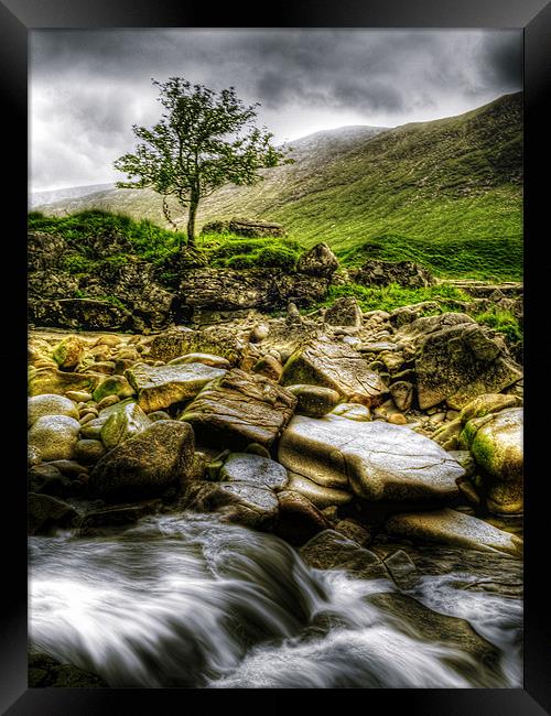 Lone Tree On River Etive Framed Print by Aj’s Images