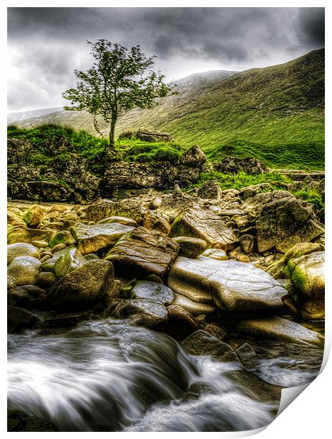 Lone Tree On River Etive Print by Aj’s Images