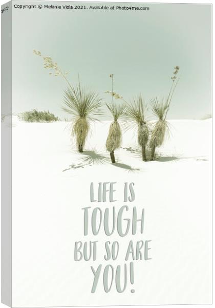 Life is tough but so are you | Desert impression Canvas Print by Melanie Viola