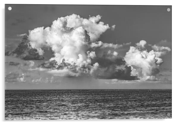 Black White Large White Rain Cloud Blue Water Moorea Tahiti Acrylic by William Perry