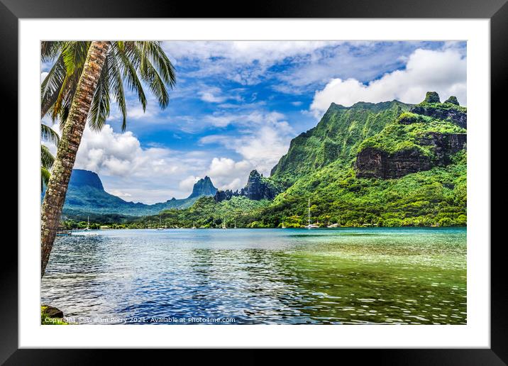 Colorful Cook's Bay Sailboats Mount Tohivea Moorea Tahiti Framed Mounted Print by William Perry