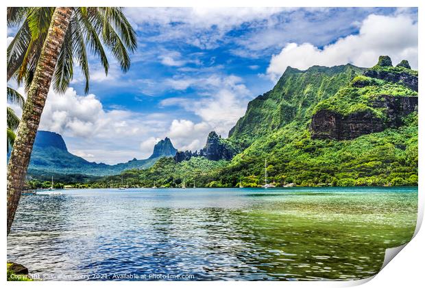 Colorful Cook's Bay Sailboats Mount Tohivea Moorea Tahiti Print by William Perry