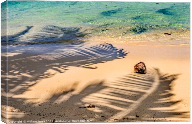 Colorful Hauru Point Palm Trees Shadows Coconut Water Moorea Tah Canvas Print by William Perry