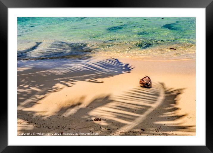 Colorful Hauru Point Palm Trees Shadows Coconut Water Moorea Tah Framed Mounted Print by William Perry