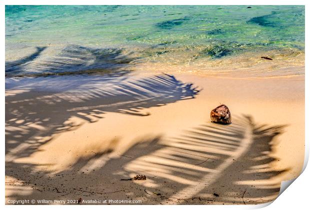 Colorful Hauru Point Palm Trees Shadows Coconut Water Moorea Tah Print by William Perry
