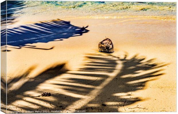 Colorful Hauru Point Palm Trees Shadows Coconut Water Moorea Tah Canvas Print by William Perry
