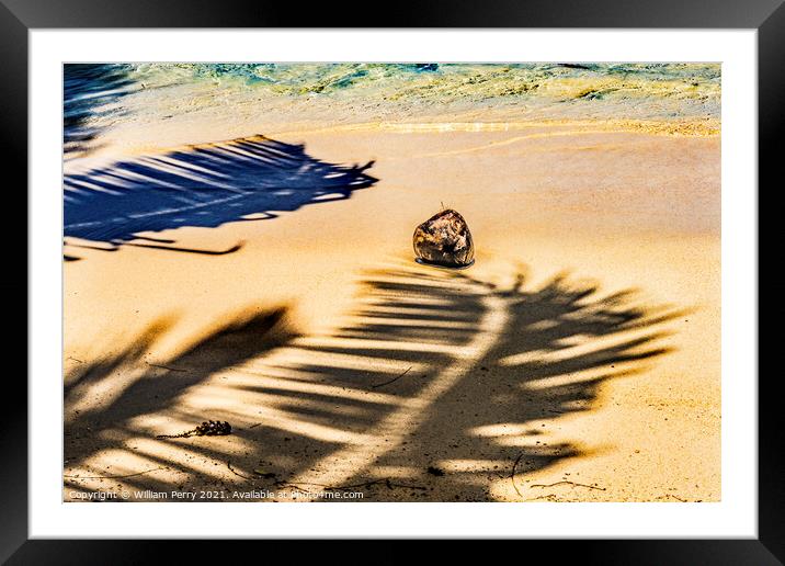 Colorful Hauru Point Palm Trees Shadows Coconut Water Moorea Tah Framed Mounted Print by William Perry