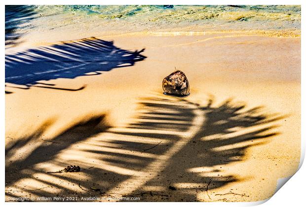 Colorful Hauru Point Palm Trees Shadows Coconut Water Moorea Tah Print by William Perry
