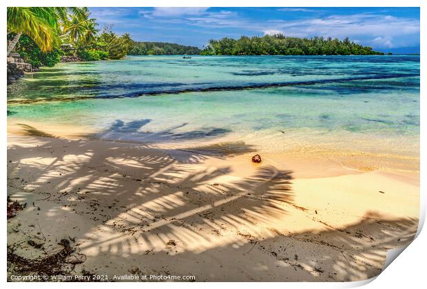 Colorful Hauru Point Palm Trees Islands Blue Water Moorea Tahiti Print by William Perry