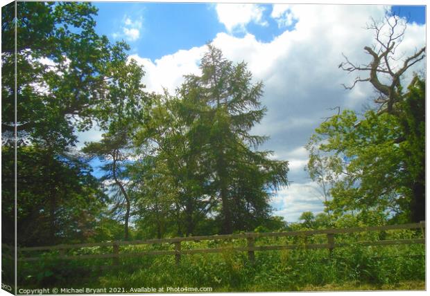 hedgerow Canvas Print by Michael bryant Tiptopimage