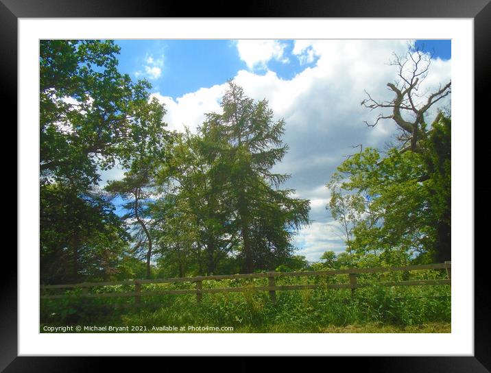 hedgerow Framed Mounted Print by Michael bryant Tiptopimage