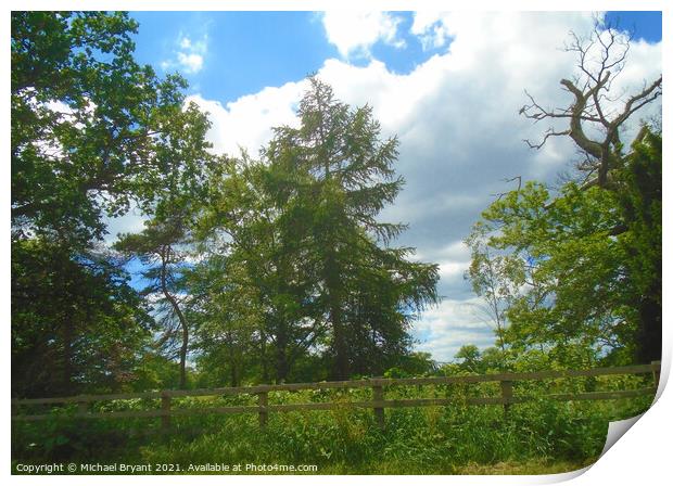 hedgerow Print by Michael bryant Tiptopimage