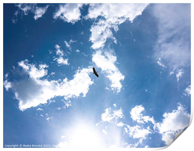Stork in the sky Print by Beata Bronisz