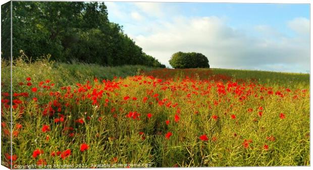 Outdoor field Canvas Print by Les Schofield