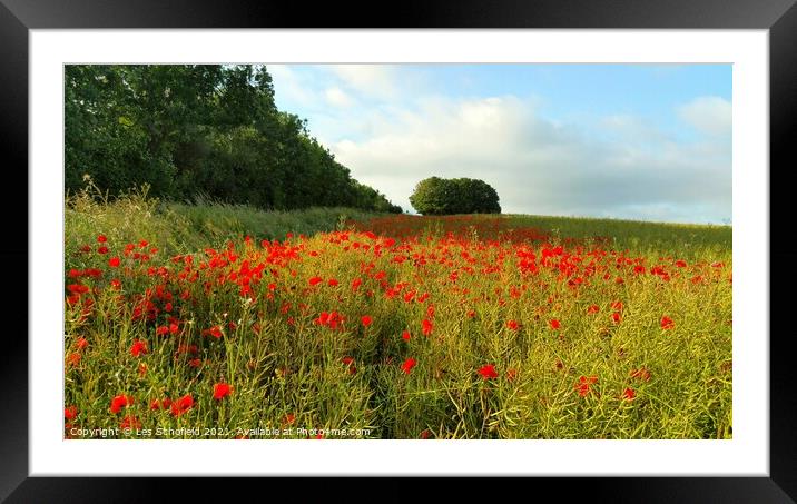 Outdoor field Framed Mounted Print by Les Schofield