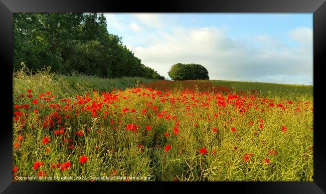 Outdoor field Framed Print by Les Schofield