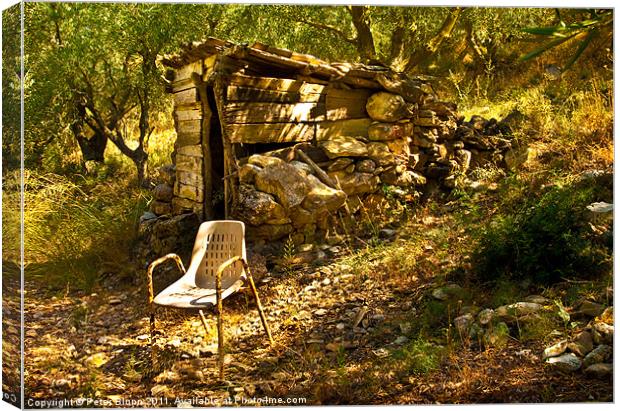 Olive Grove Shelter & Rusty Chair Canvas Print by Peter Blunn