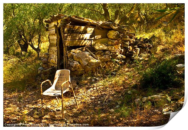 Olive Grove Shelter & Rusty Chair Print by Peter Blunn