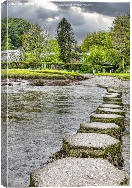 Stepping Stones Canvas Print by DAVID FLORY