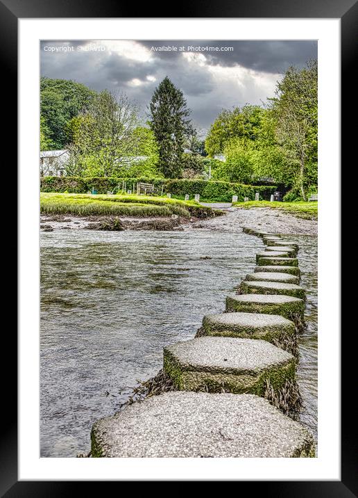 Stepping Stones Framed Mounted Print by DAVID FLORY