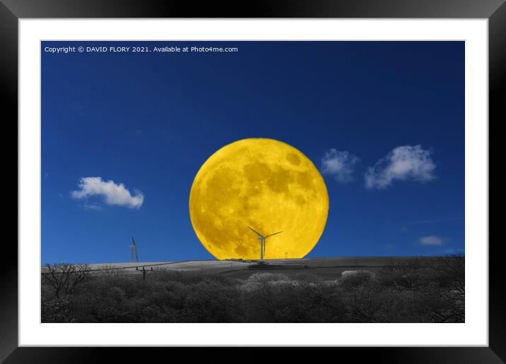 Flower Moon Framed Mounted Print by DAVID FLORY