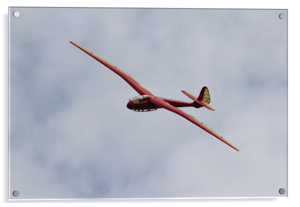 Slingsby T13 Petrel Glider Acrylic by J Biggadike