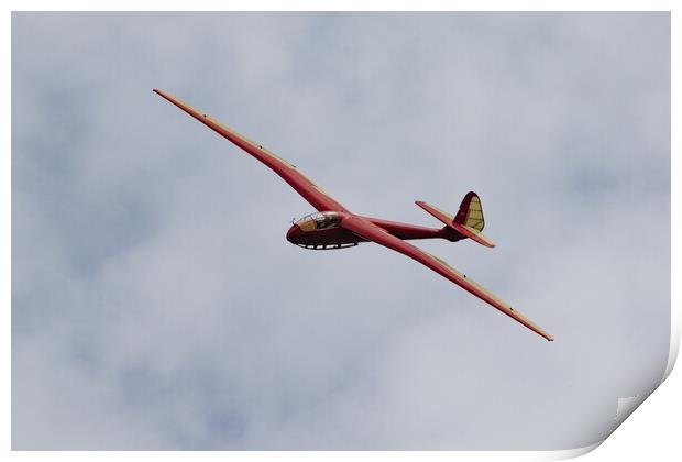 Slingsby T13 Petrel Glider Print by J Biggadike