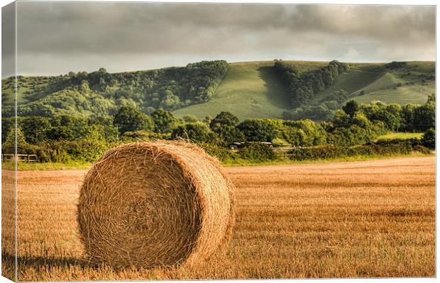 Straw Bale South Downs Canvas Print by Eddie Howland