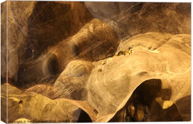 Abstract shapes of a dog snout on cave wall Canvas Print by Hanif Setiawan