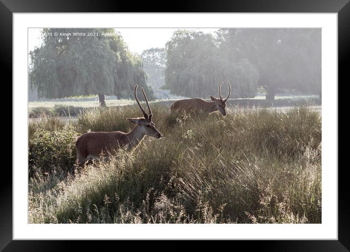 Running through the grass Framed Mounted Print by Kevin White